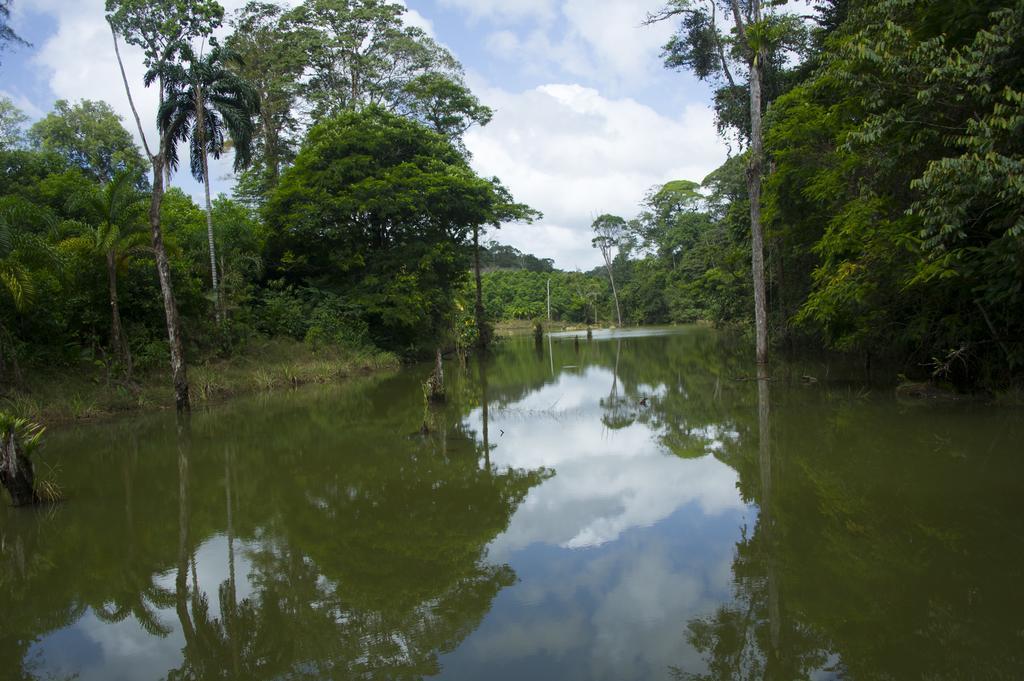 La Laguna Del Lagarto Eco-Lodge Pital  Luaran gambar