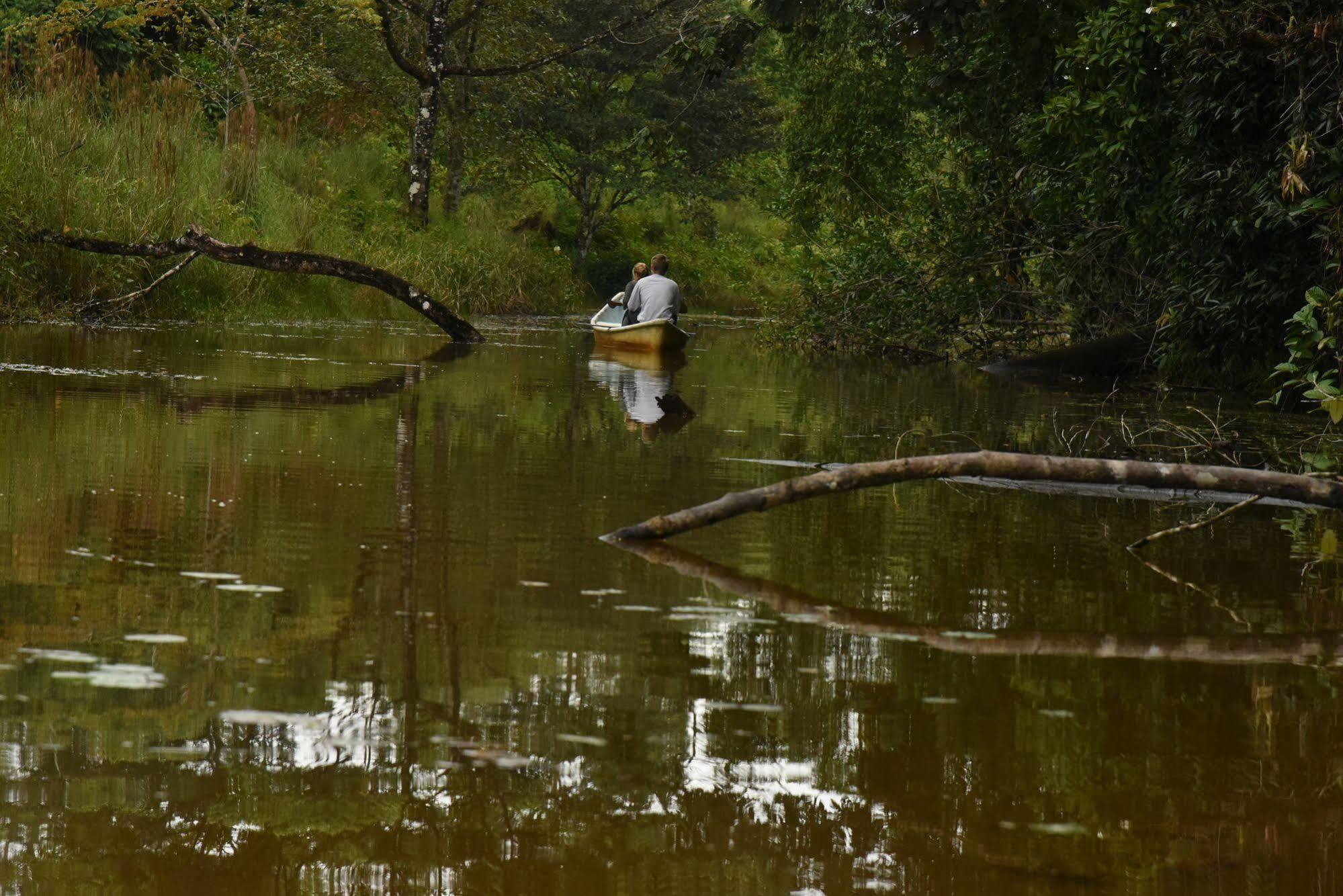 La Laguna Del Lagarto Eco-Lodge Pital  Luaran gambar