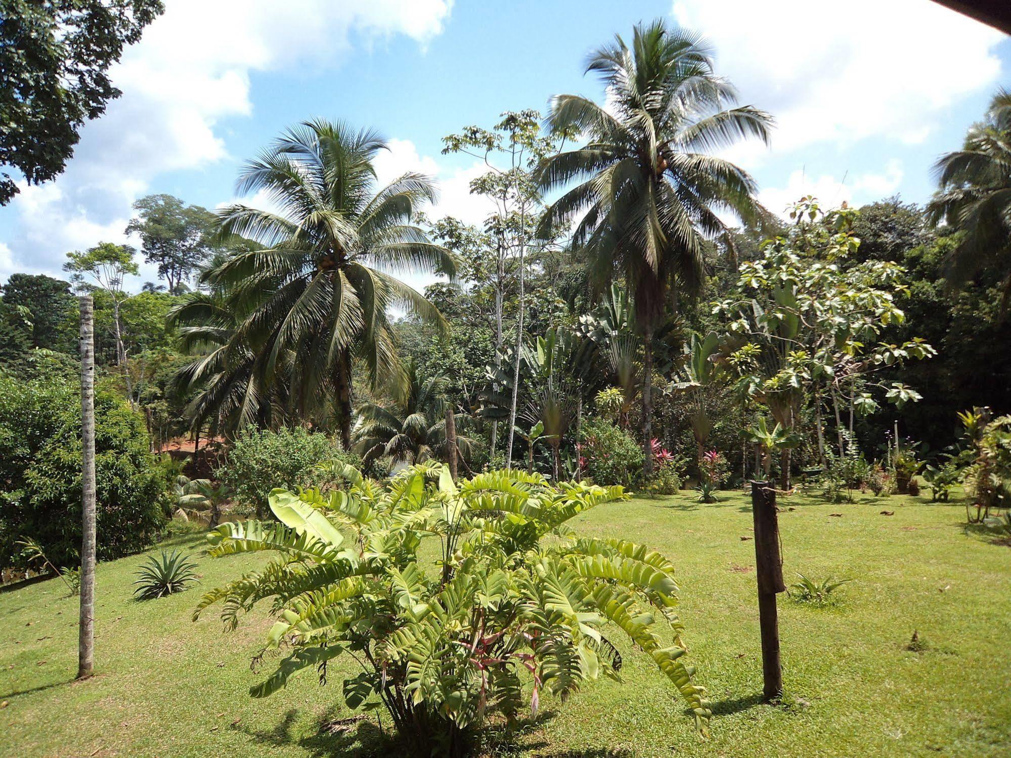 La Laguna Del Lagarto Eco-Lodge Pital  Luaran gambar