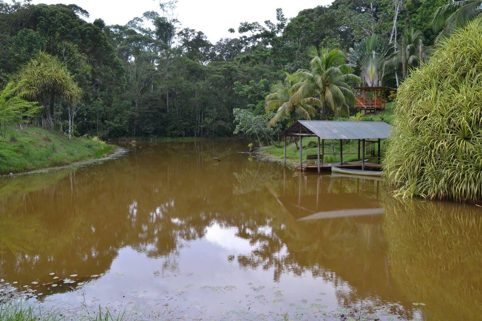 La Laguna Del Lagarto Eco-Lodge Pital  Luaran gambar