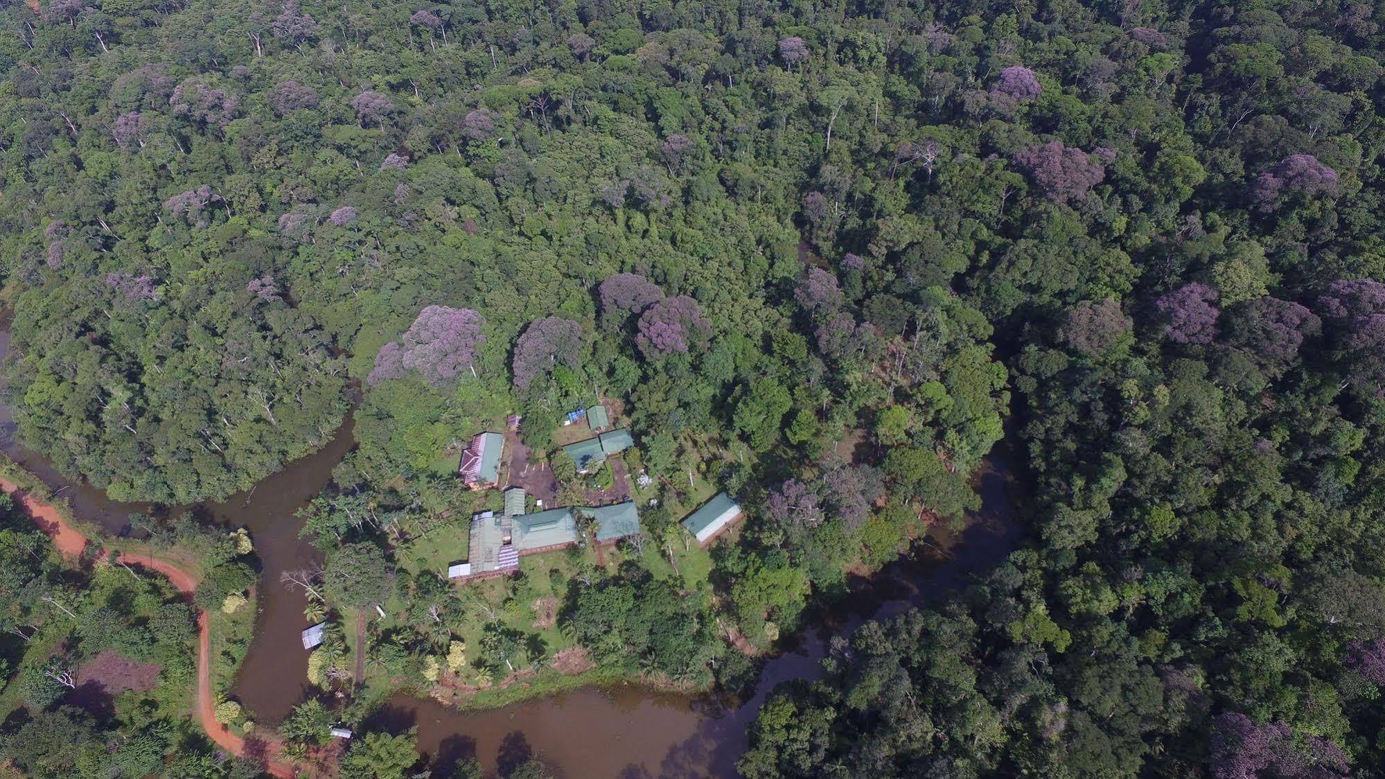 La Laguna Del Lagarto Eco-Lodge Pital  Luaran gambar