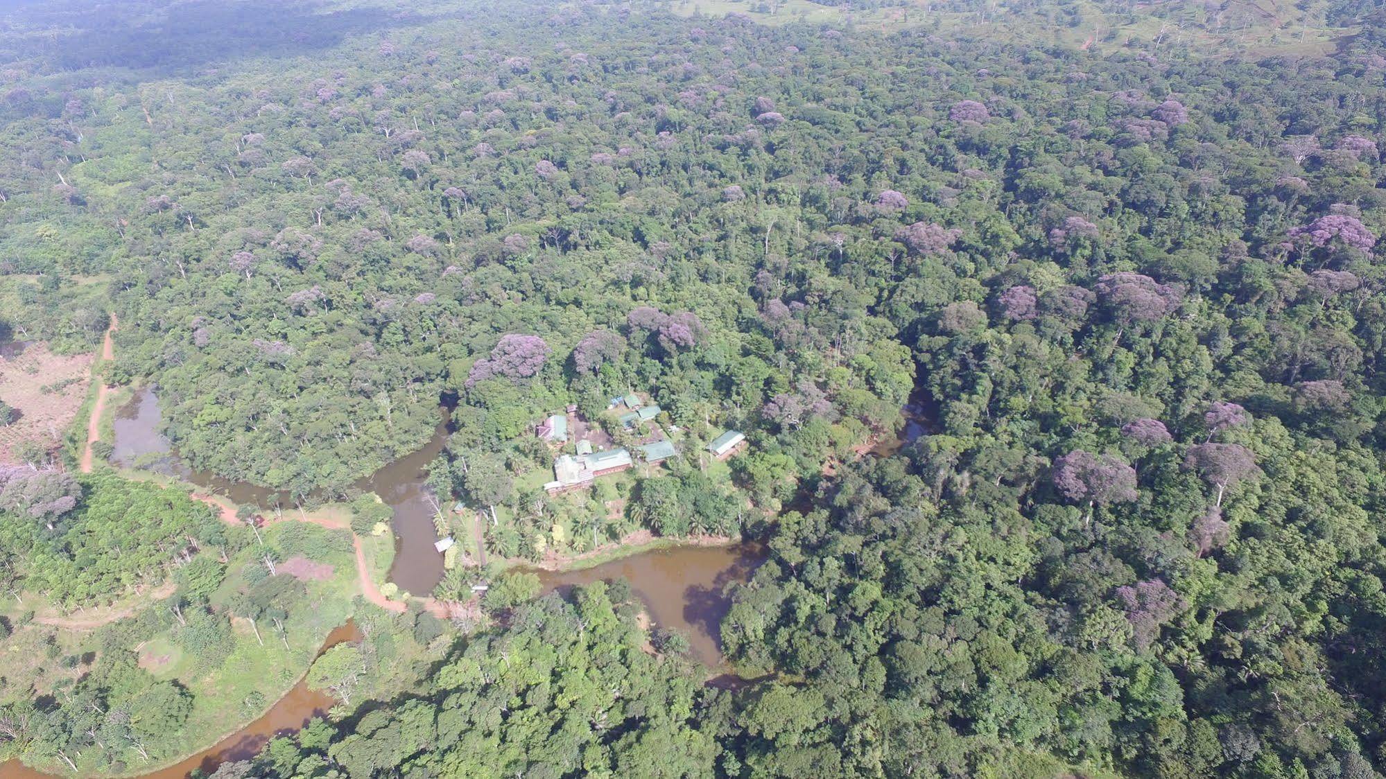La Laguna Del Lagarto Eco-Lodge Pital  Luaran gambar