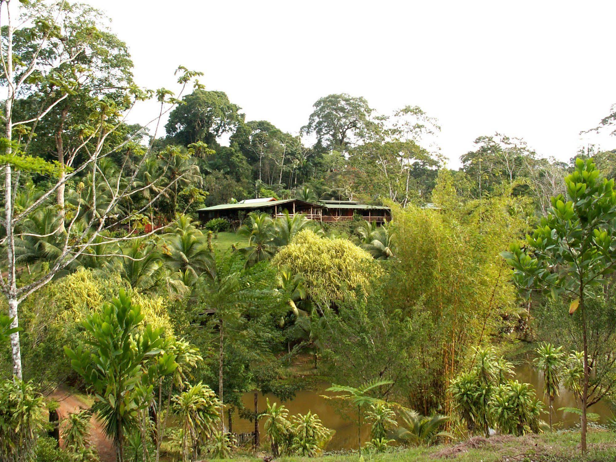 La Laguna Del Lagarto Eco-Lodge Pital  Luaran gambar