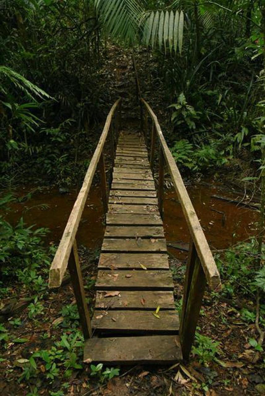 La Laguna Del Lagarto Eco-Lodge Pital  Luaran gambar