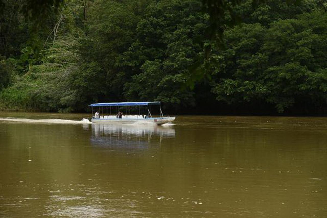 La Laguna Del Lagarto Eco-Lodge Pital  Luaran gambar